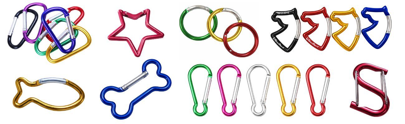 carabiner lanyard keychain options.