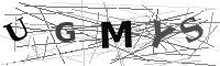 Please refresh your browser to see this image.