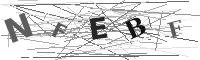 Please refresh your browser to see this image.
